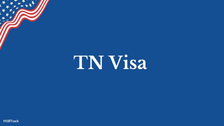 TN Visa